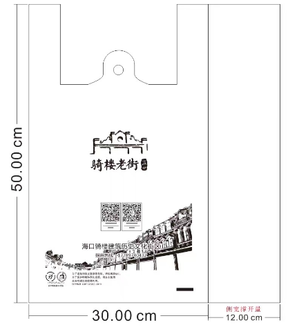 海南印刷廠(chǎng)有哪些常見(jiàn)手提袋的種類(lèi)(圖3)
